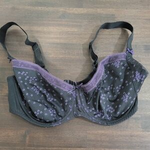 Freya Black and Purple Embellished Bra Size 34F